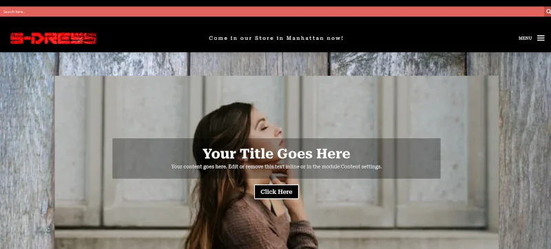 sDress Fashion E-commerce website