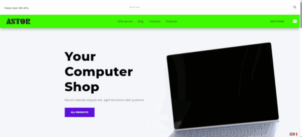 Astor e-commerce site with auction system