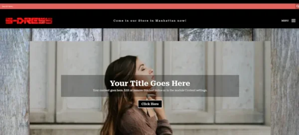 S-Dress e-commerce site for clothing stores